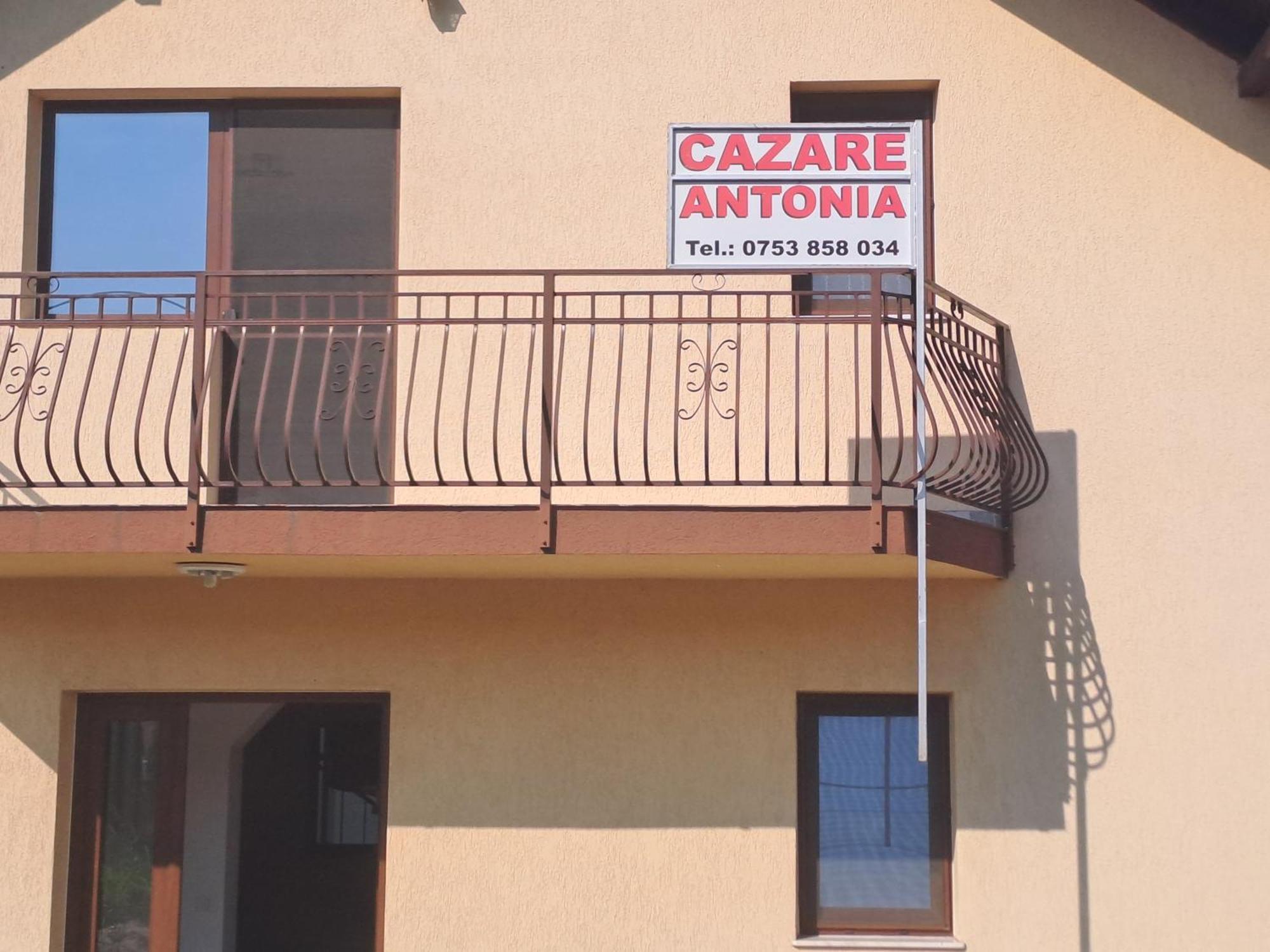 Cazare Antonia Curtea de Argeş エクステリア 写真
